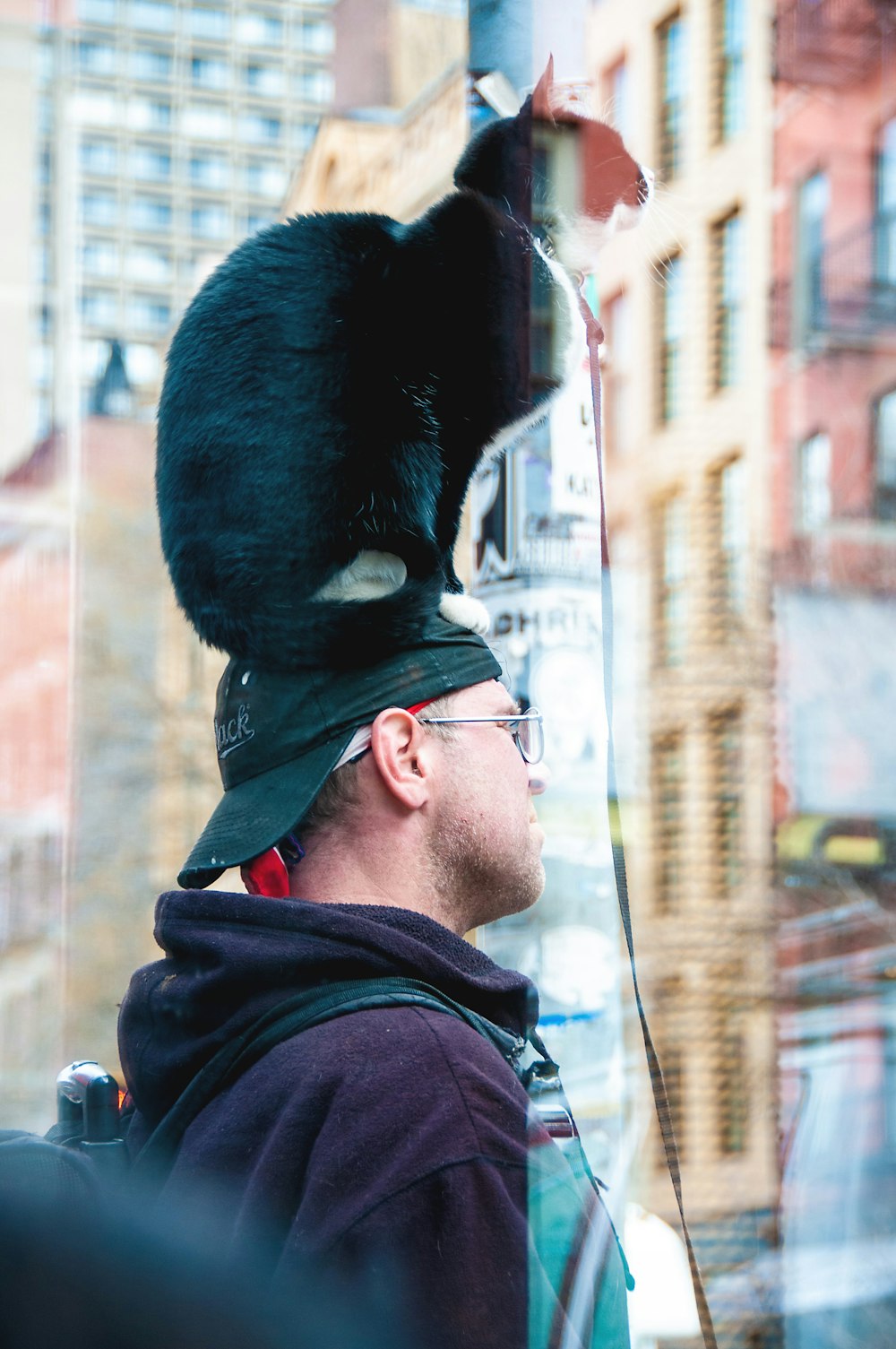 black cat sitting on human man's head