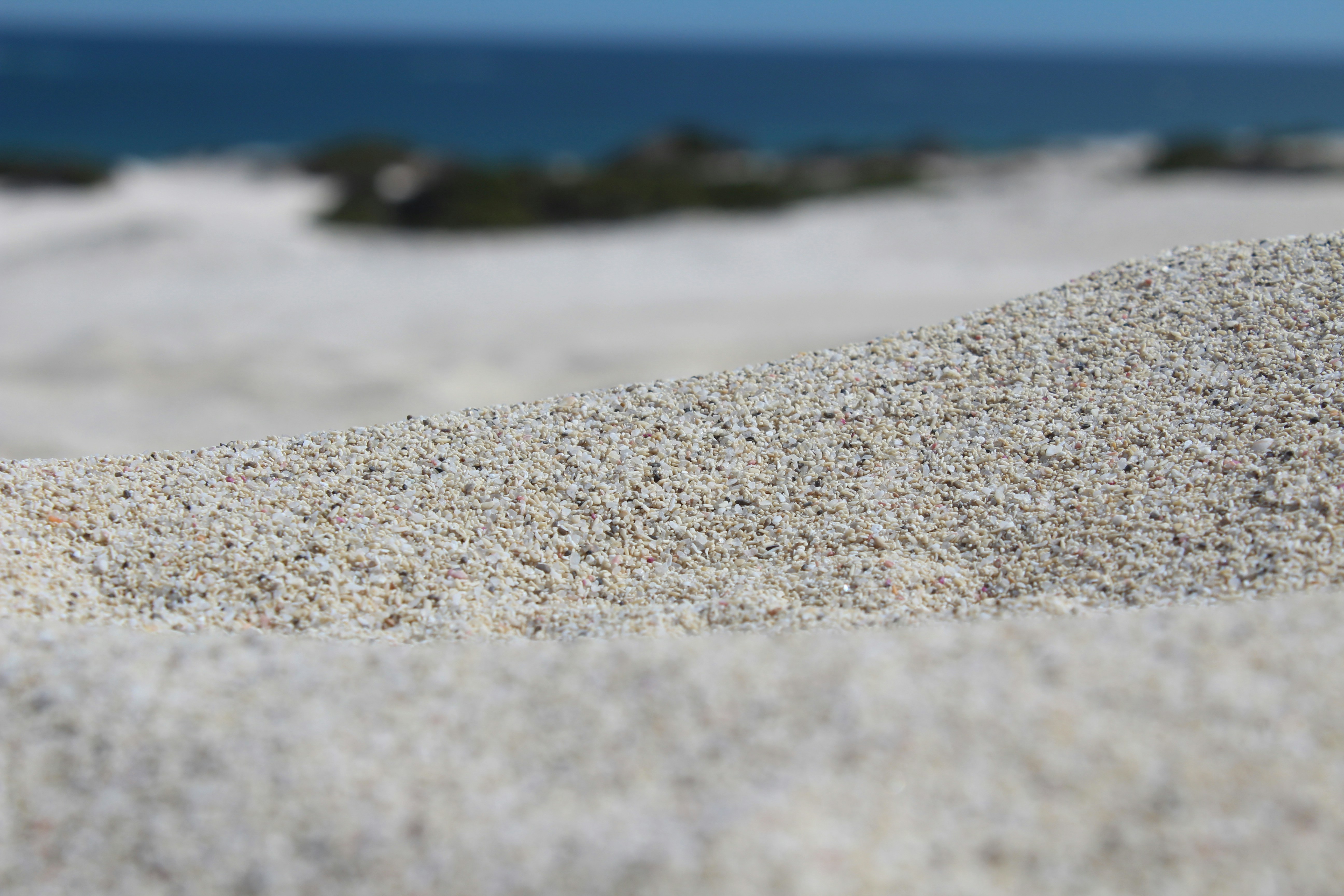a close up of a sand dune with the ocean in the background