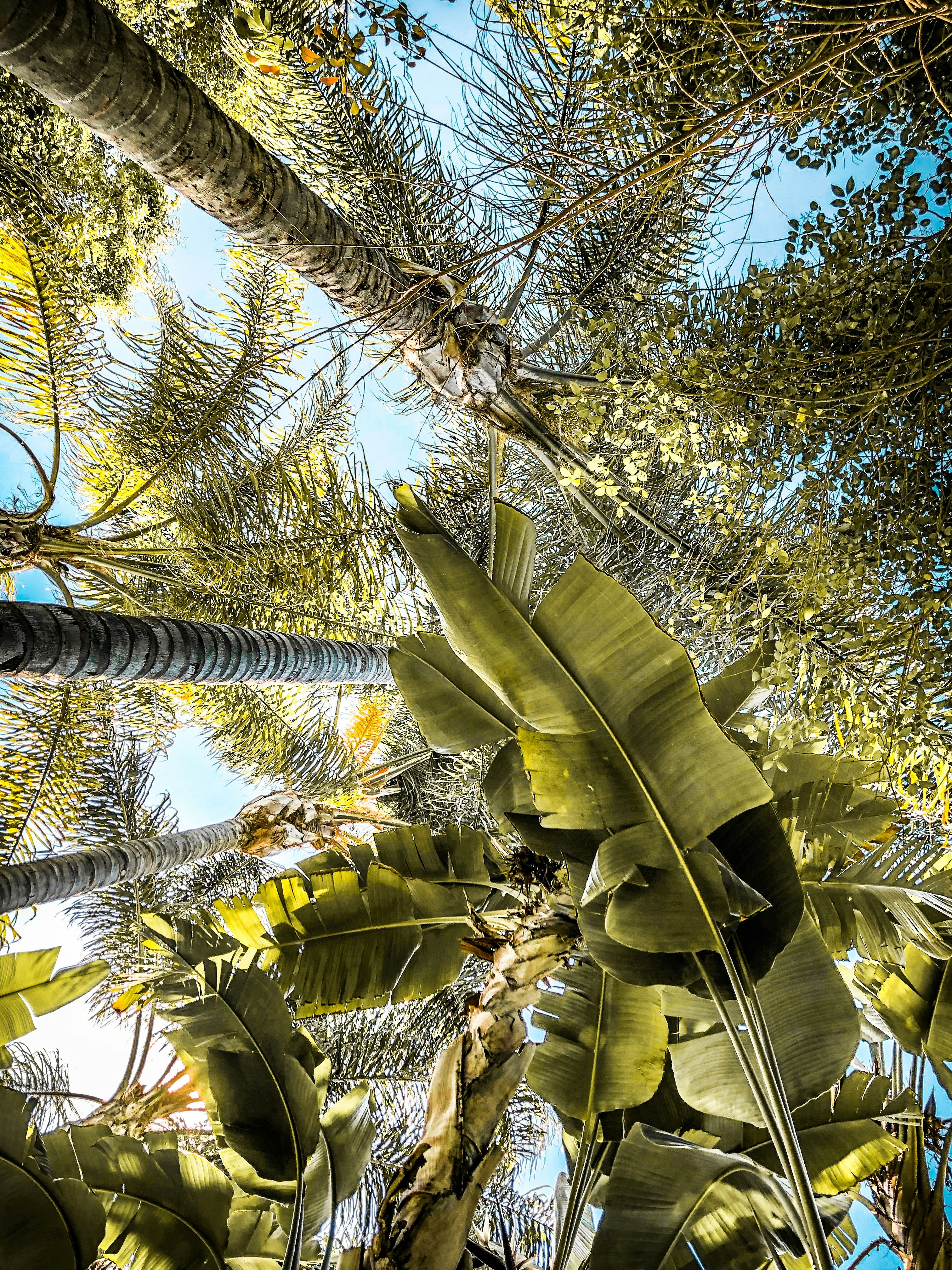 Photo by christopherstark