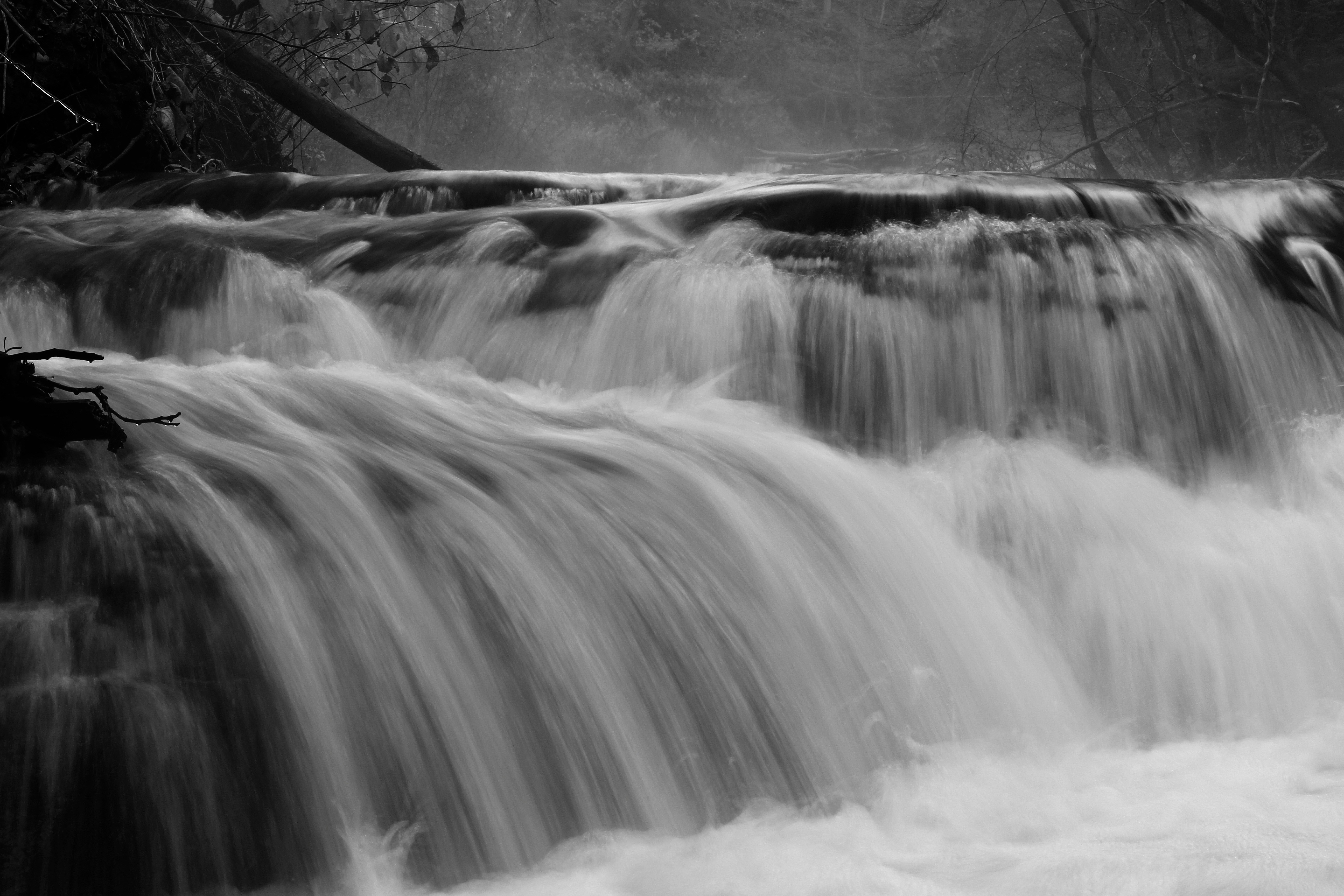 Photo by lachlancormie