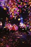 A vibrant display of colorful, luminous flowers is projected onto a dark background, with people sitting amongst the glowing patterns. The surrounding atmosphere is immersive, creating an enchanting and dreamlike ambiance.