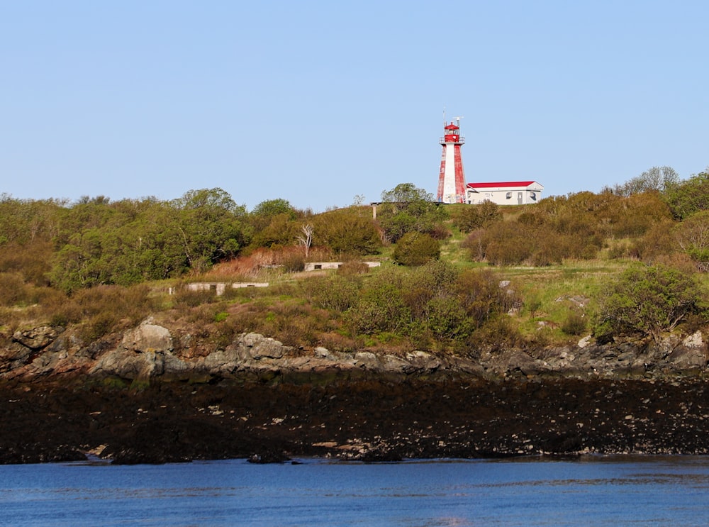 white and red lighthouse on hill near body of water