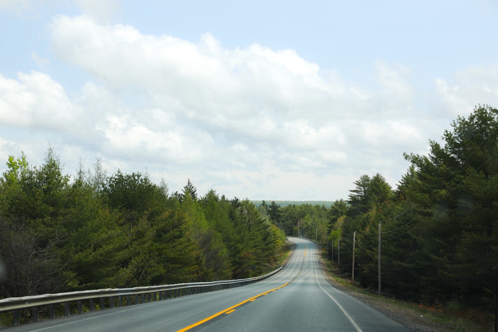 empty road between forest