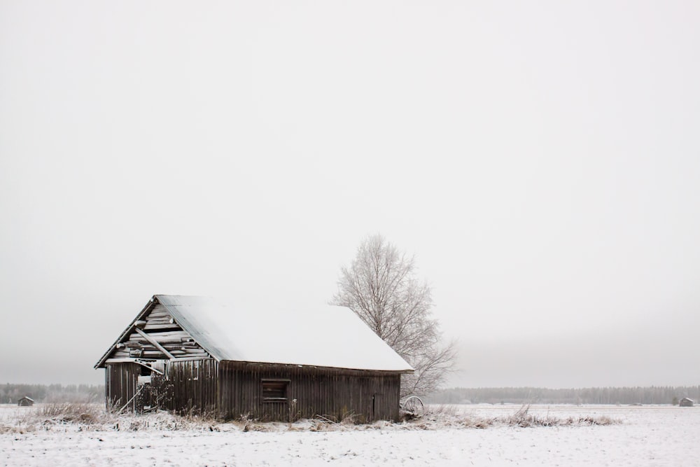 wooden barn on snow covered field at daytime