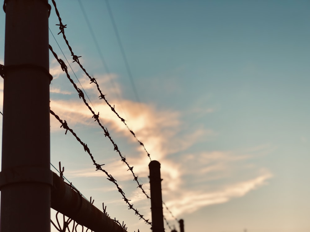 shallow focus photo of barb wire fence