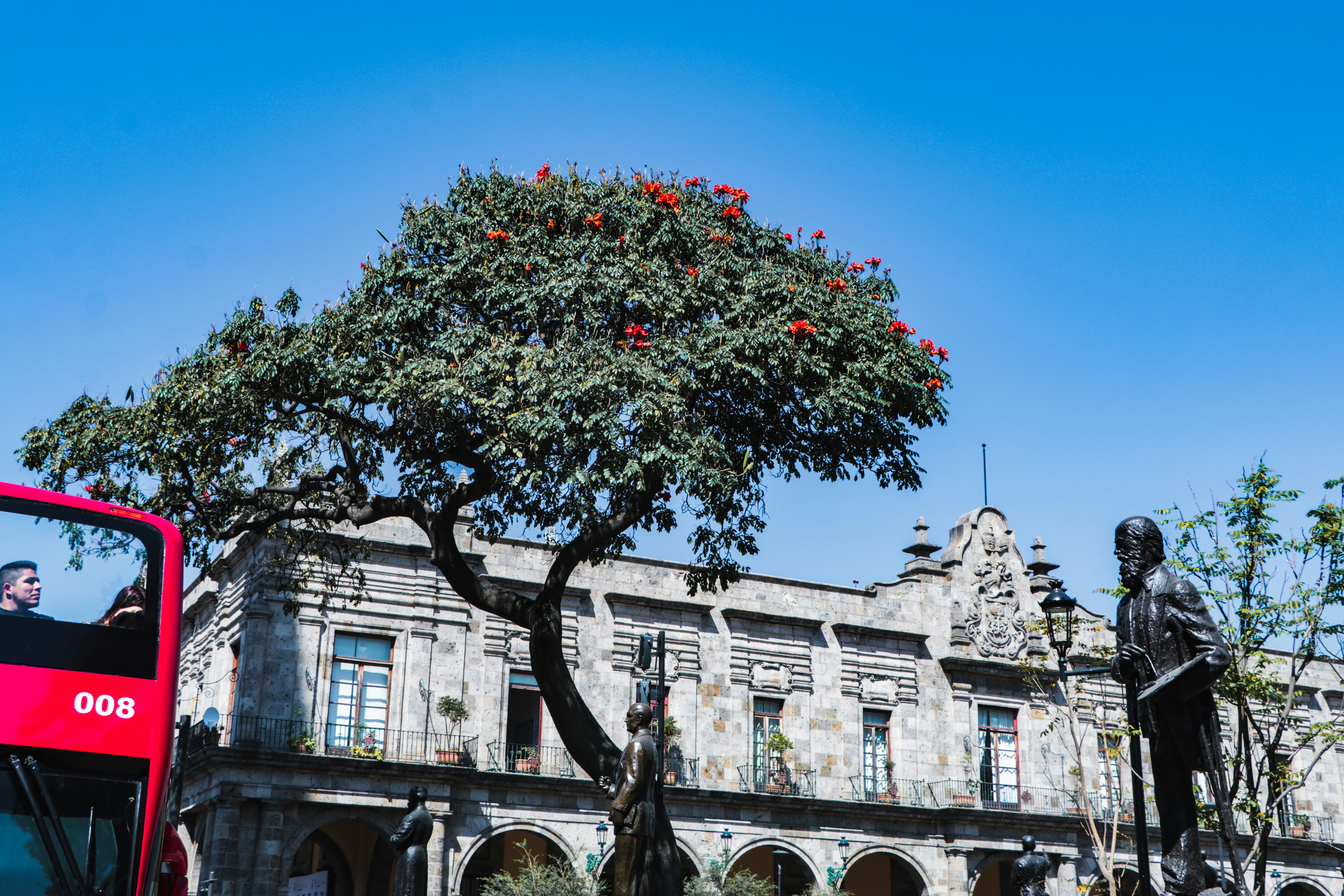 green and black tree under blue sky at daytime