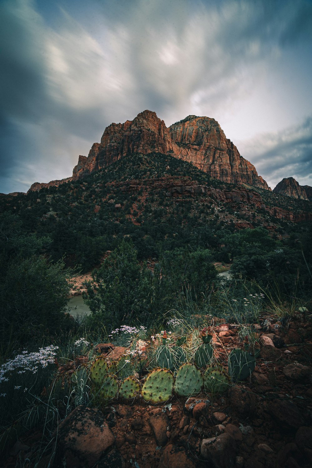 brown rocky mountain