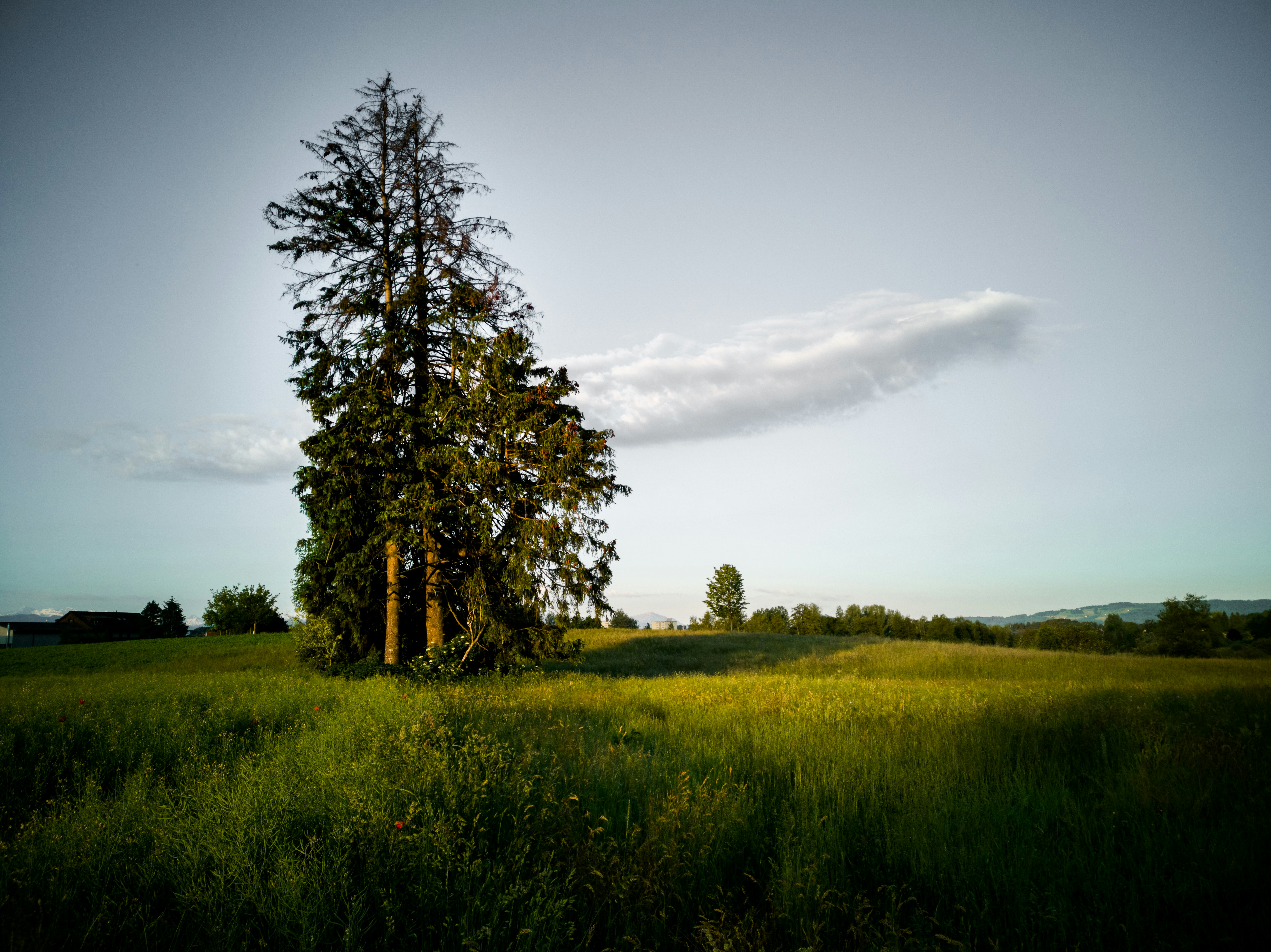 Photo by yvesmoret
