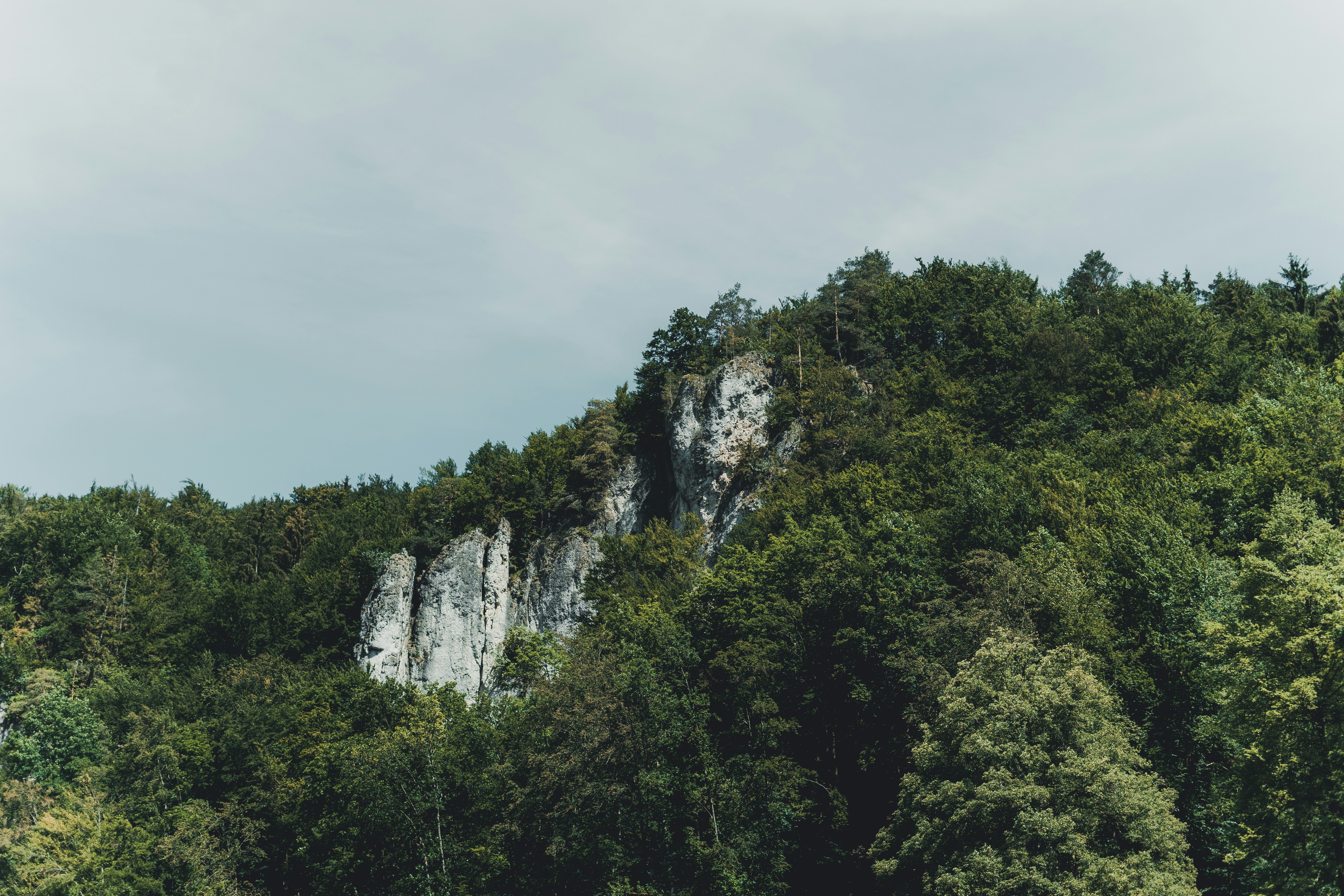 Photo by julianhochgesang