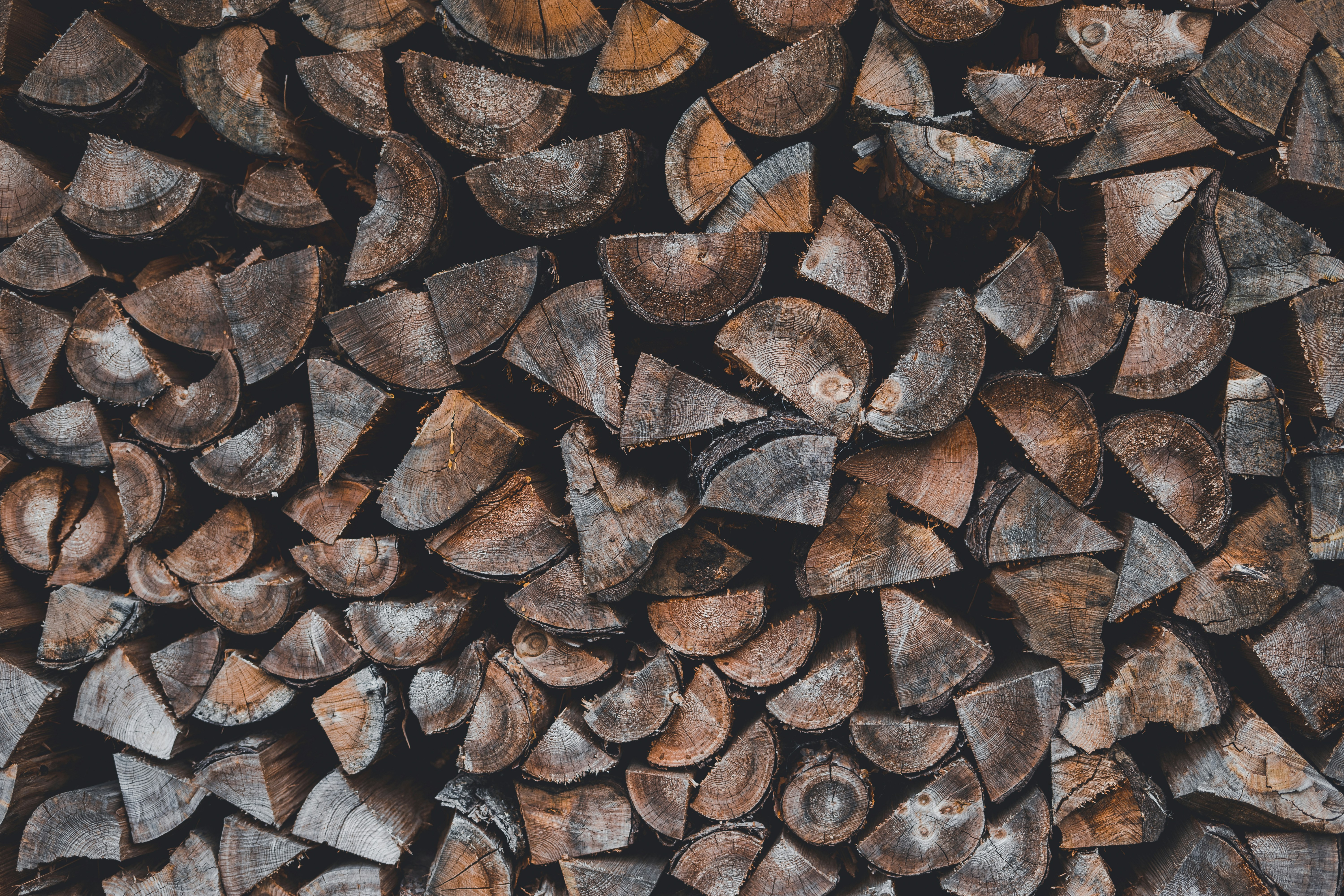 Photo by julianhochgesang