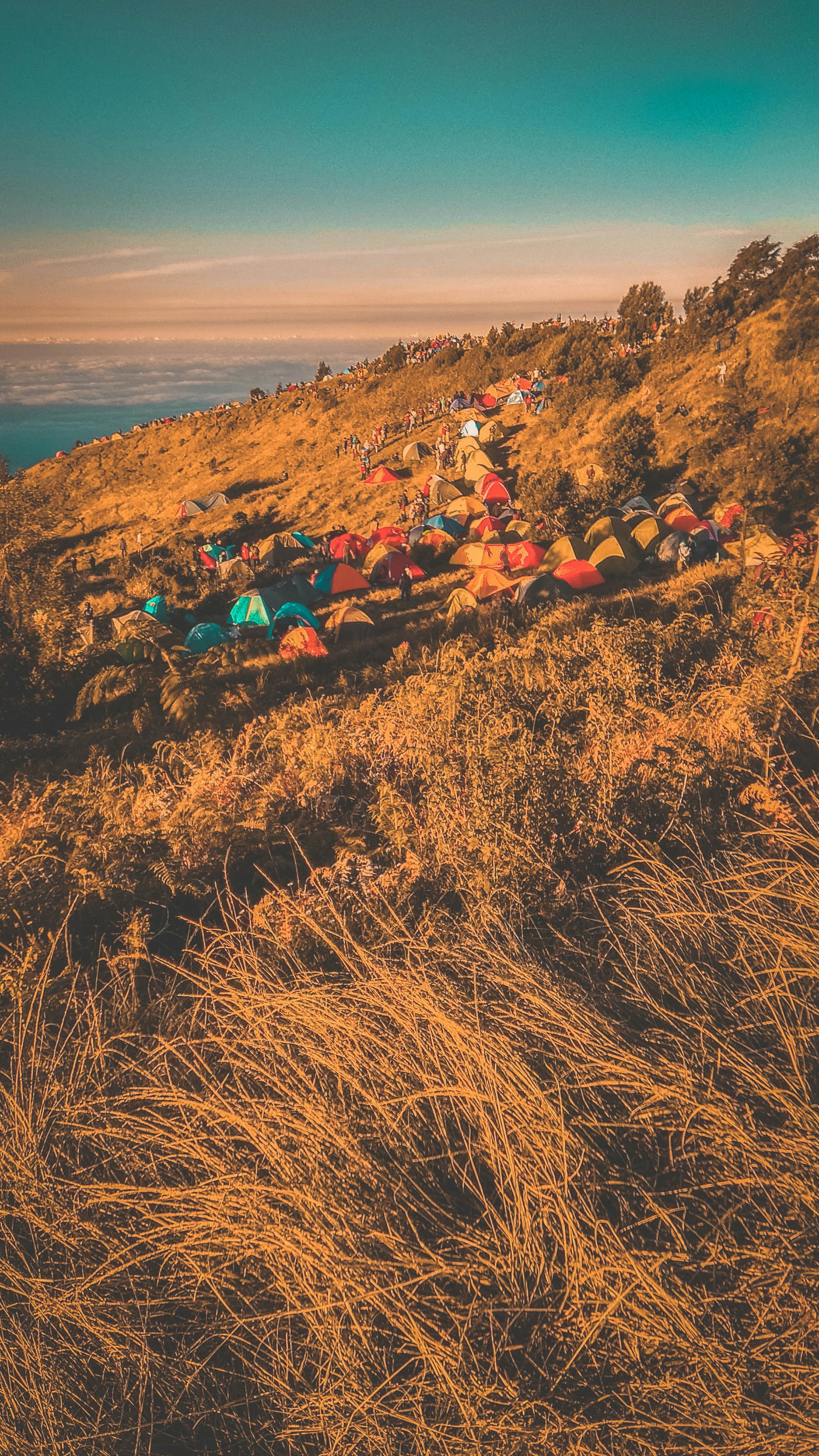camping festival wallpaper, wallpaper, Organizing a Large Scale Camping Event: A Guide 3