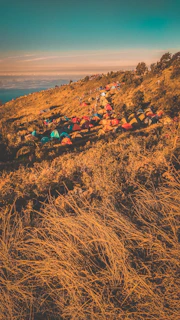 A hillside covered with numerous colorful tents, indicating a campsite. The landscape features dry, golden grass and scattered trees under a bright sky.