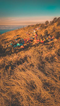 A hillside covered with numerous colorful tents, indicating a campsite. The landscape features dry, golden grass and scattered trees under a bright sky.