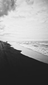 grayscale photo of beach