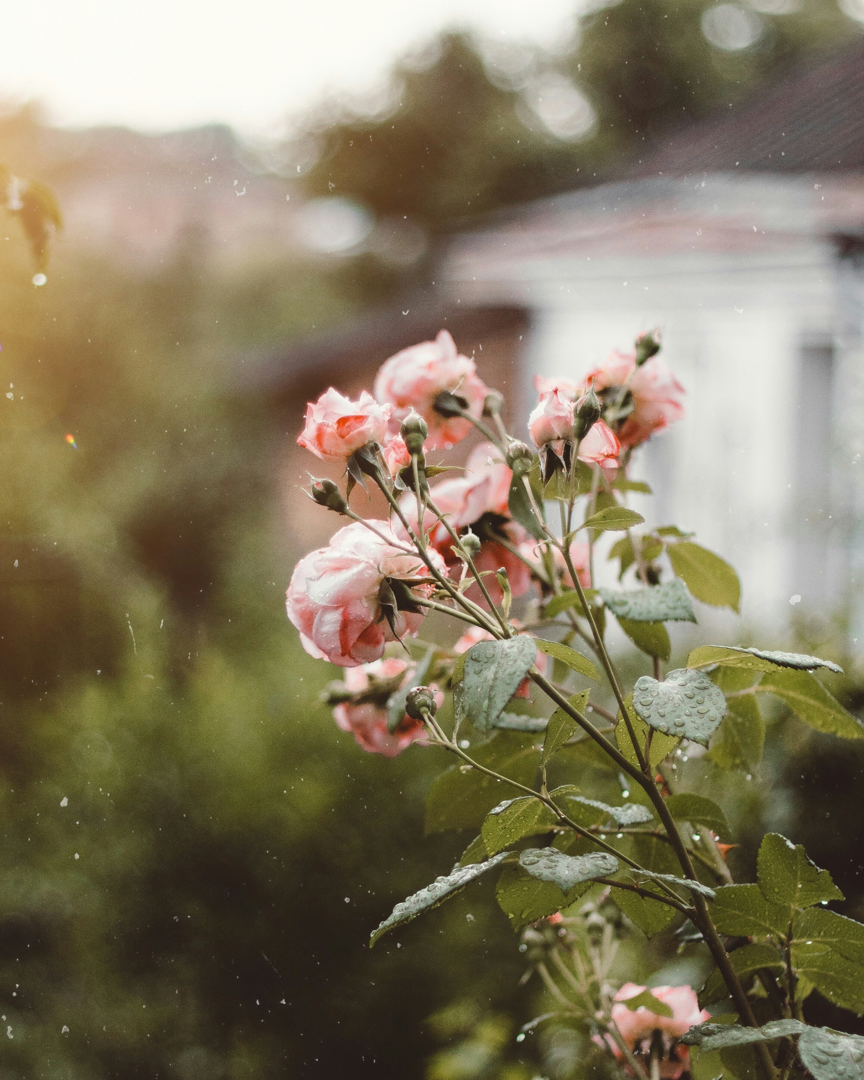 Photo by thewayofcolor