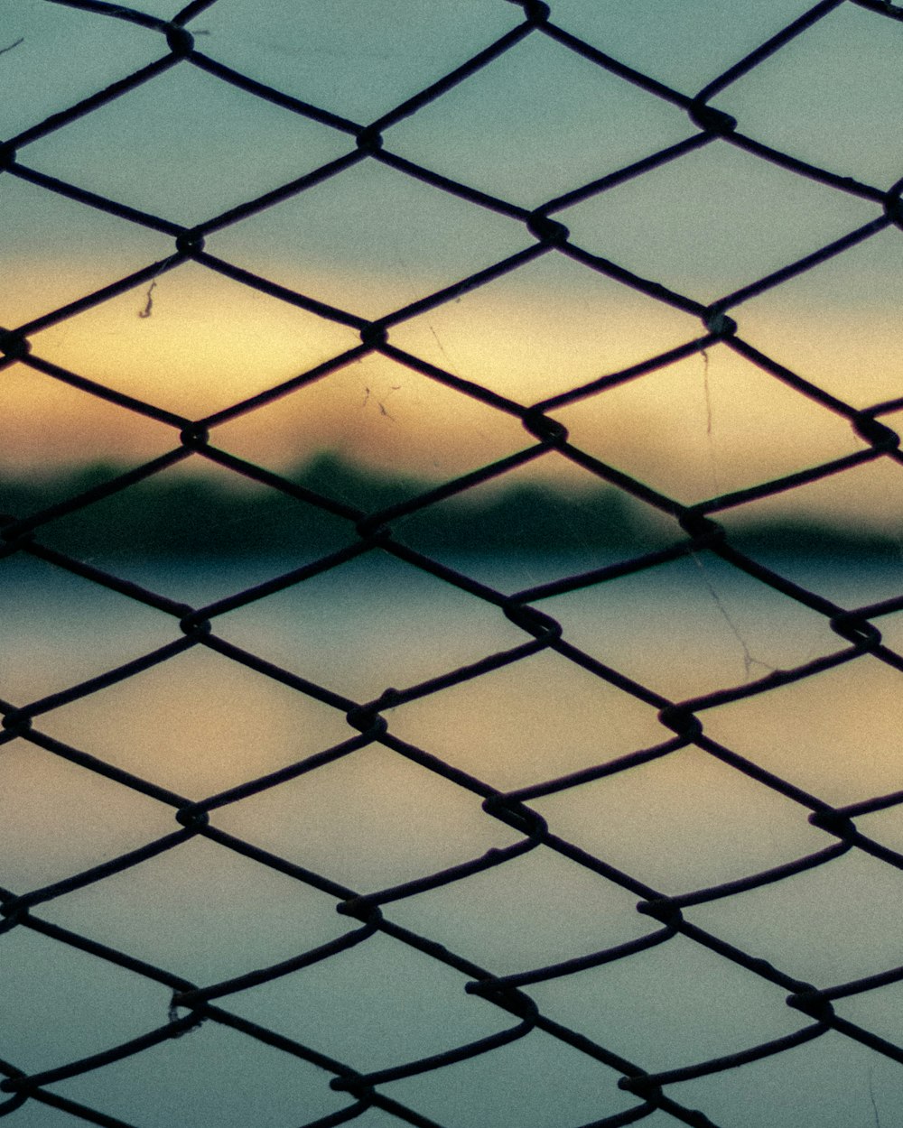 black metal wire fence close-up photography