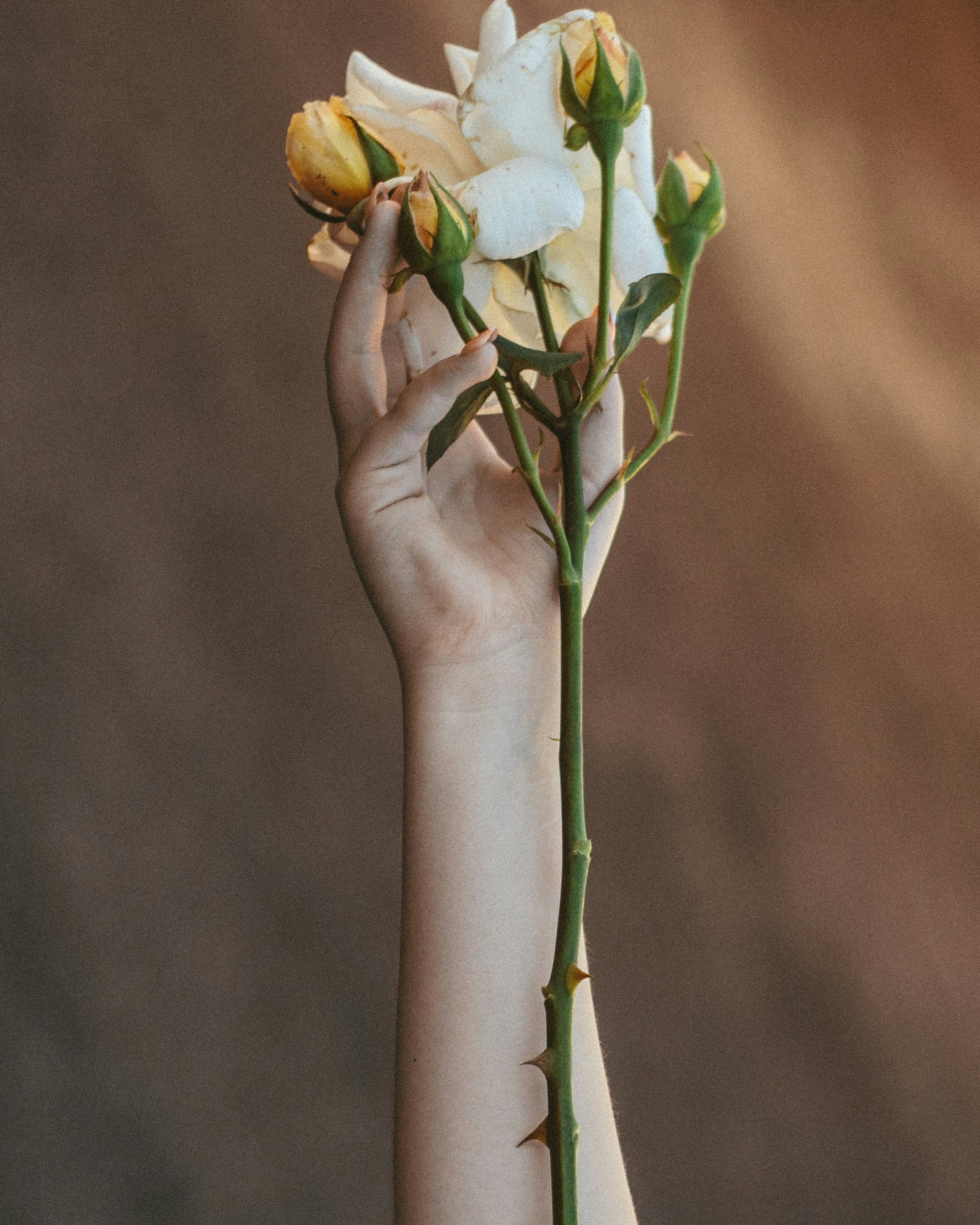 Photo by thewayofcolor