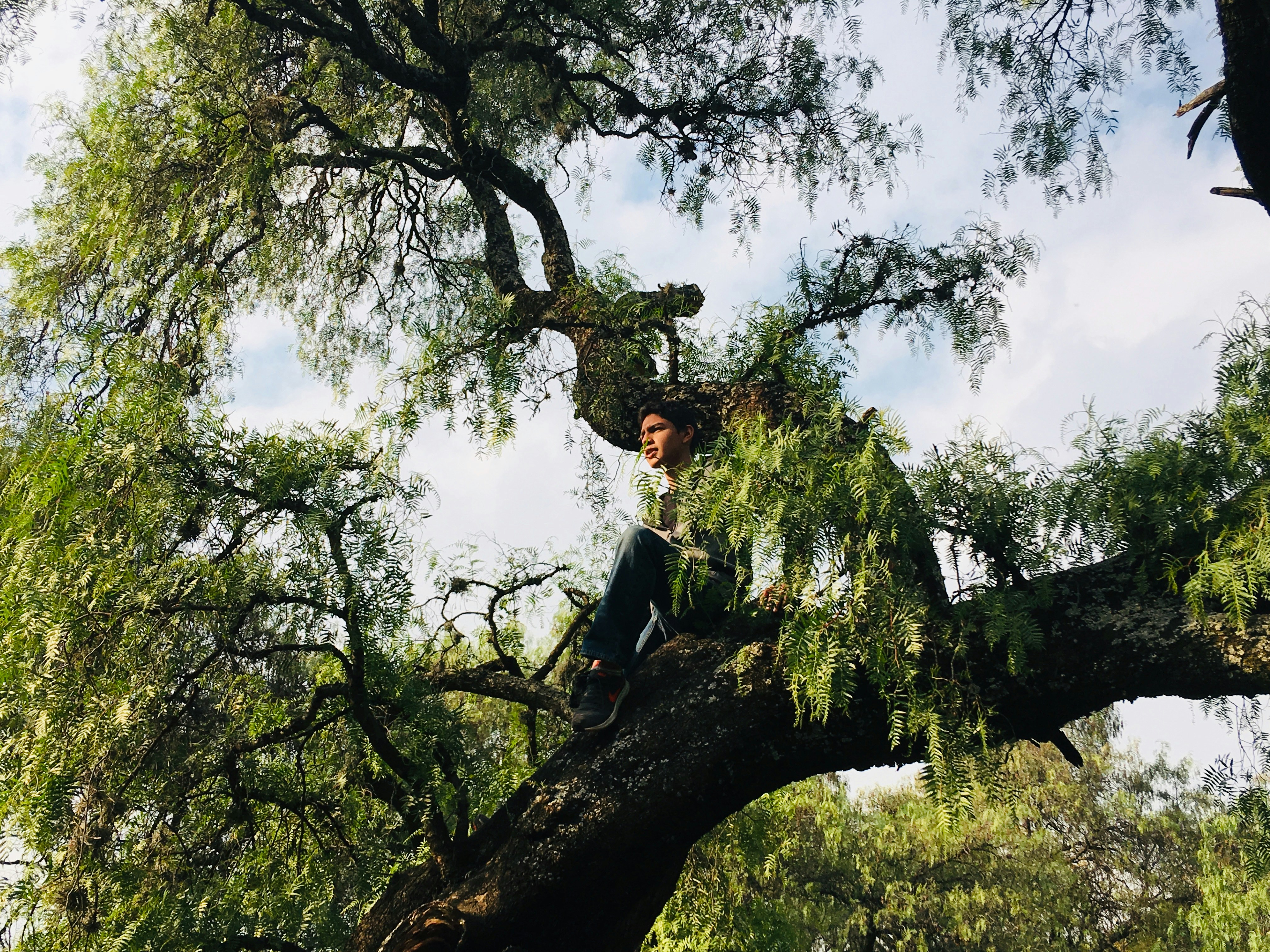 Photo by yisus_solis