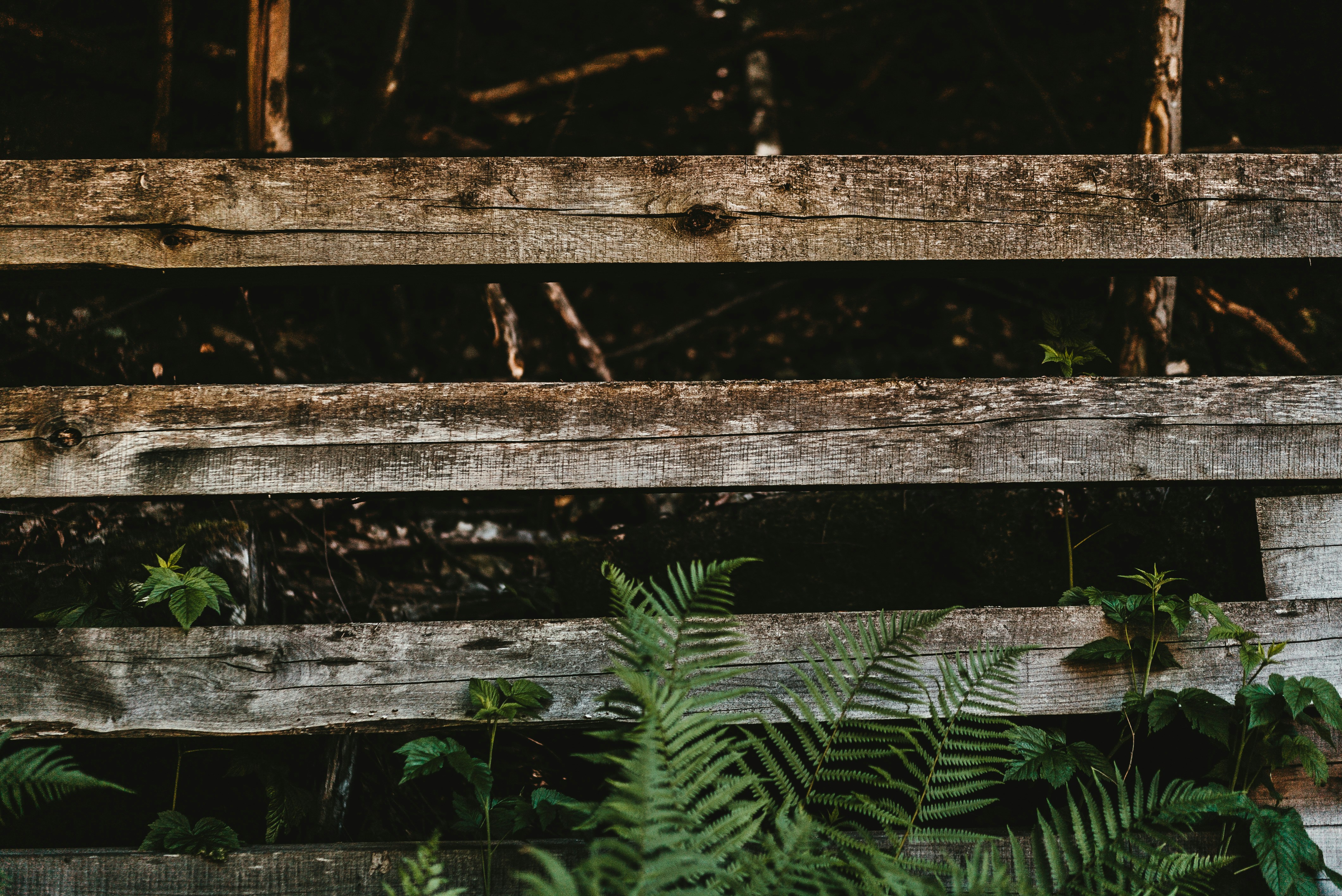 Photo by tomgruenbauer