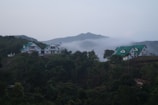 Multiple houses with green roofs are nestled among lush green trees on a hillside. Mist shrouds the distant mountains, creating a serene and tranquil atmosphere. The scene is dominated by natural greenery and soft fog.