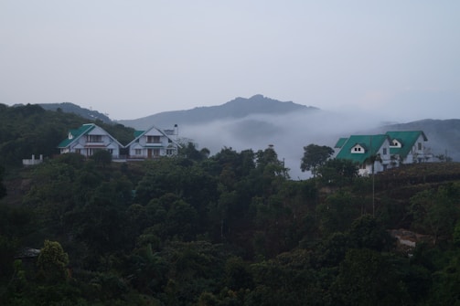 Multiple houses with green roofs are nestled among lush green trees on a hillside. Mist shrouds the distant mountains, creating a serene and tranquil atmosphere. The scene is dominated by natural greenery and soft fog.