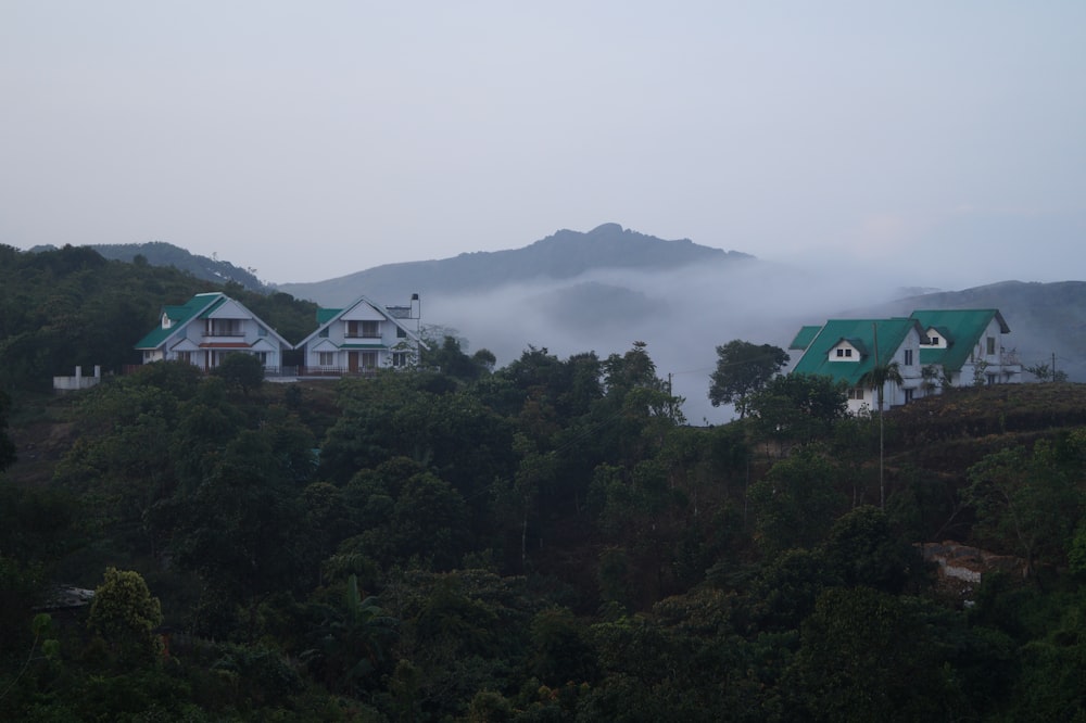 a group of houses sitting on top of a lush green hillside