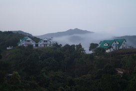 Multiple houses with green roofs are nestled among lush green trees on a hillside. Mist shrouds the distant mountains, creating a serene and tranquil atmosphere. The scene is dominated by natural greenery and soft fog.