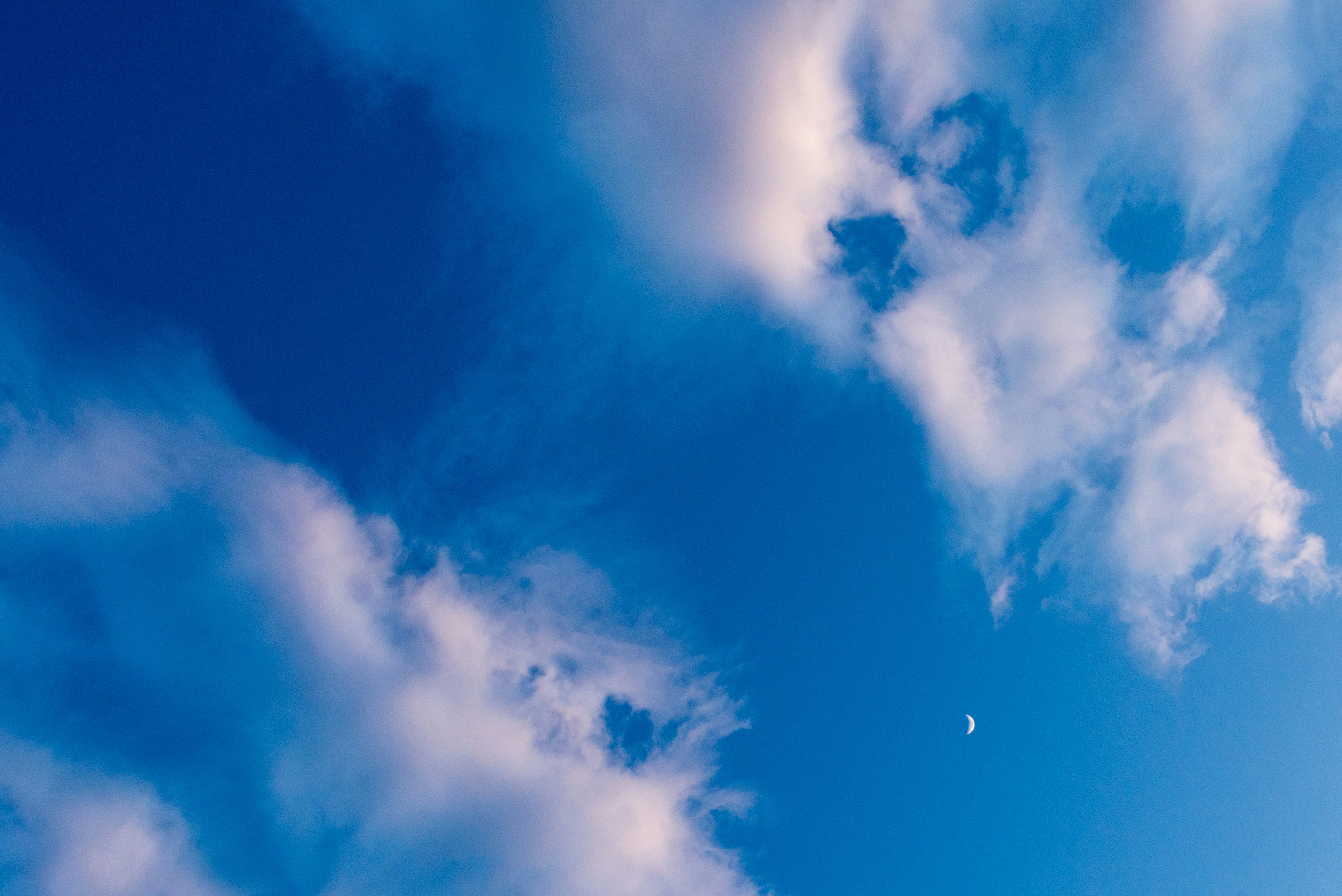 Photo by peek_a_boo_who