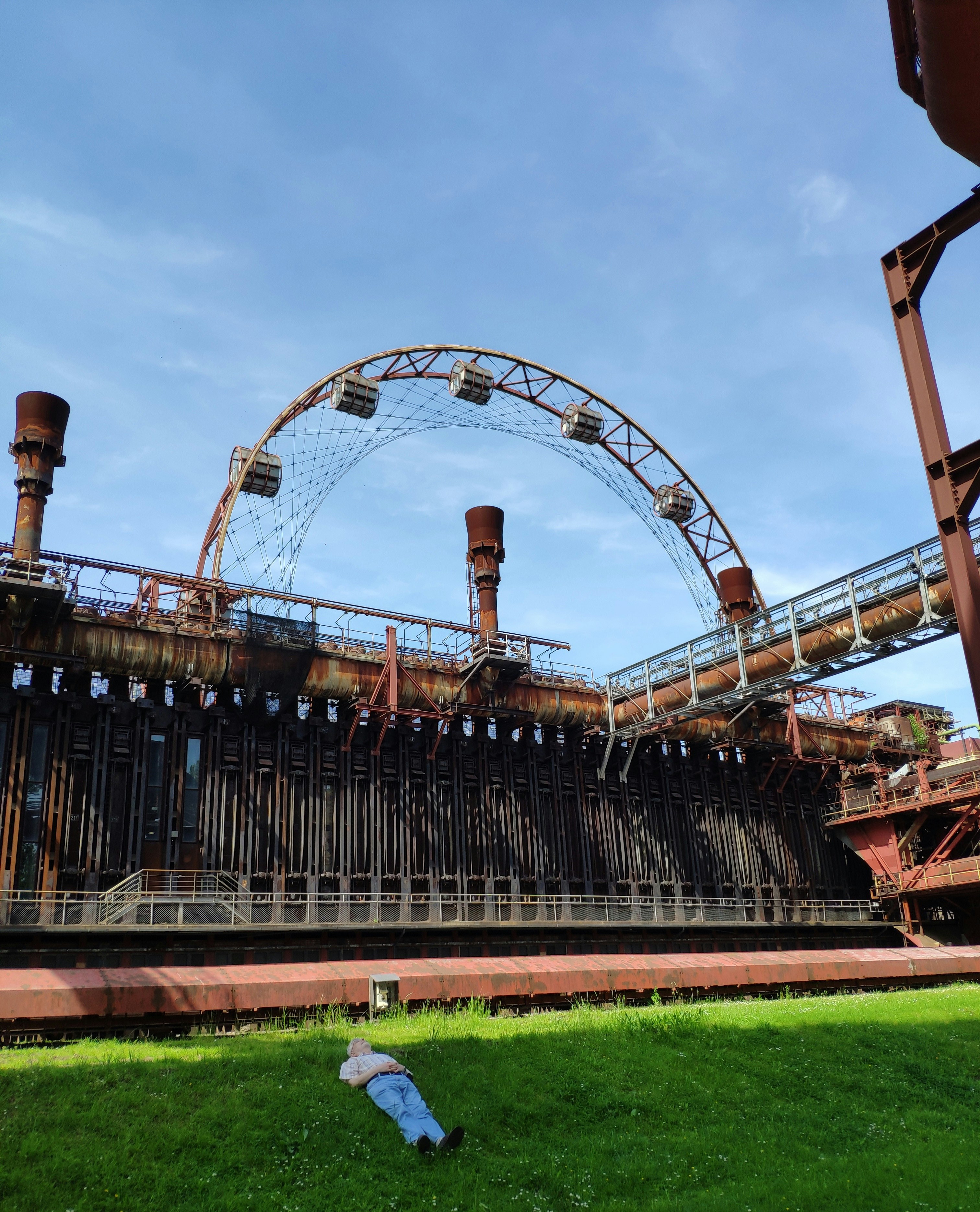 man lying on green grasses in park