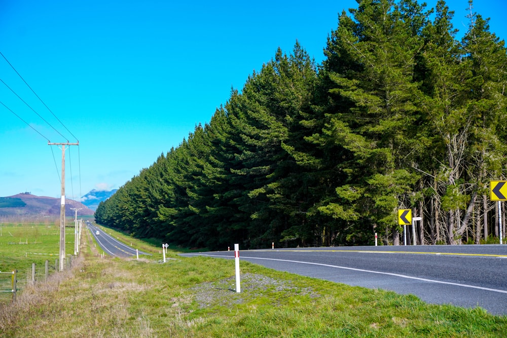 pine trees on other side of highway