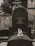 A cat sits peacefully on a tombstone in a cemetery. The tombstone is dark gray with an inscription, surrounded by stone walls and trees in the background.