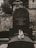 A cat sits peacefully on a tombstone in a cemetery. The tombstone is dark gray with an inscription, surrounded by stone walls and trees in the background.