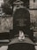 A cat sits peacefully on a tombstone in a cemetery. The tombstone is dark gray with an inscription, surrounded by stone walls and trees in the background.
