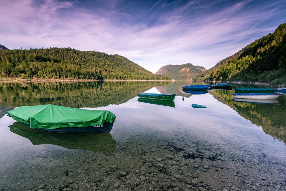 green boat cover