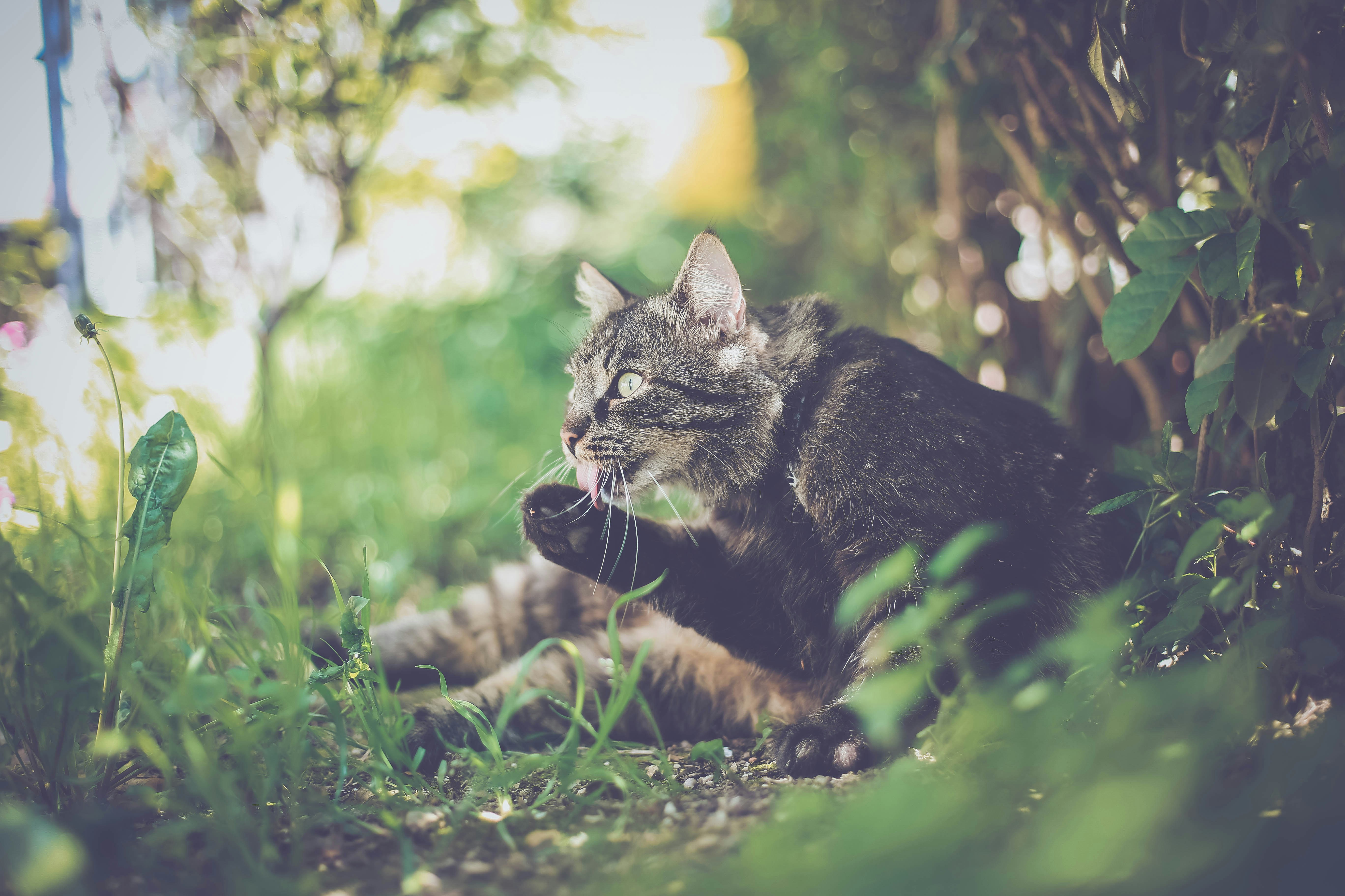 Photo by sindystrife