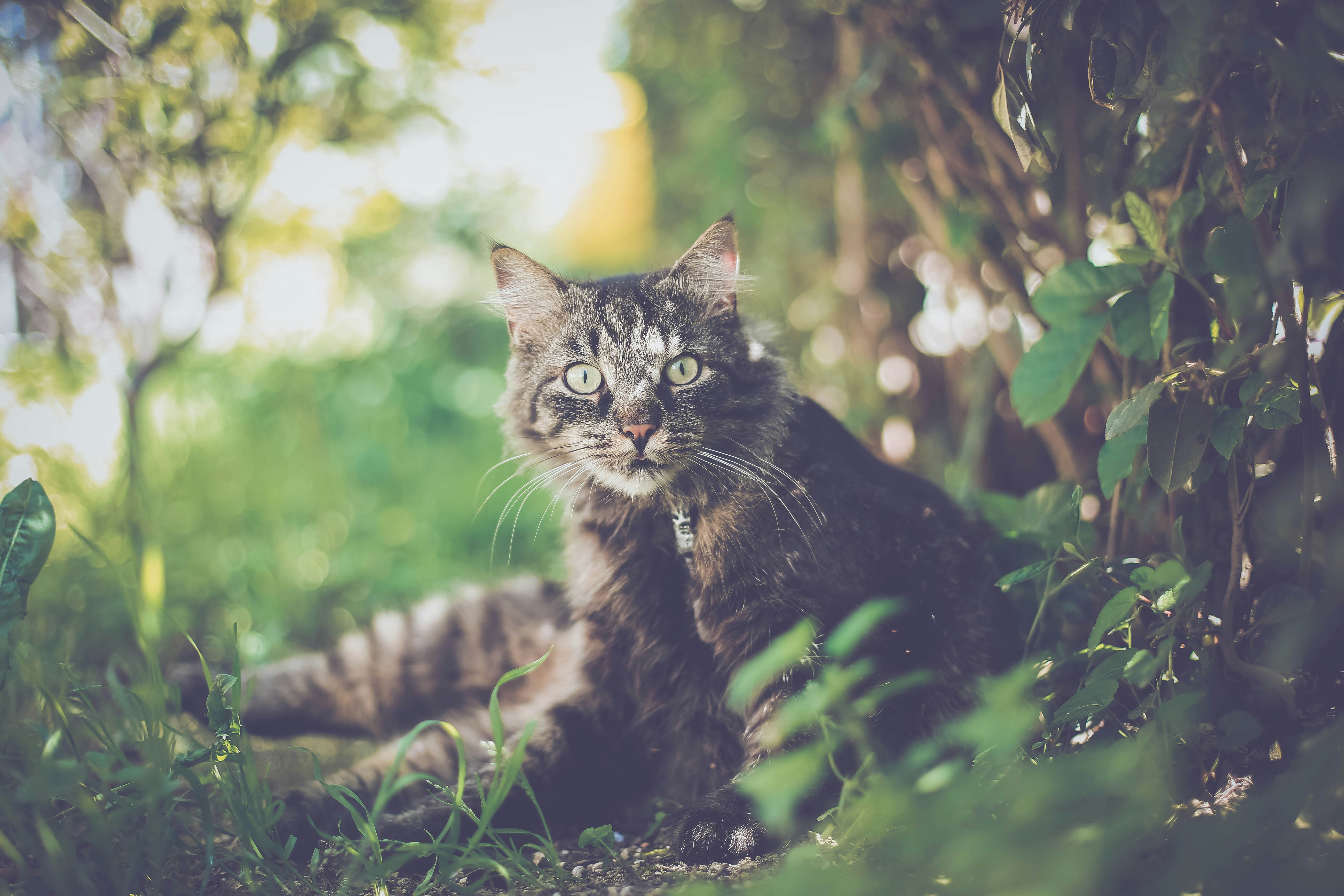 Photo by sindystrife