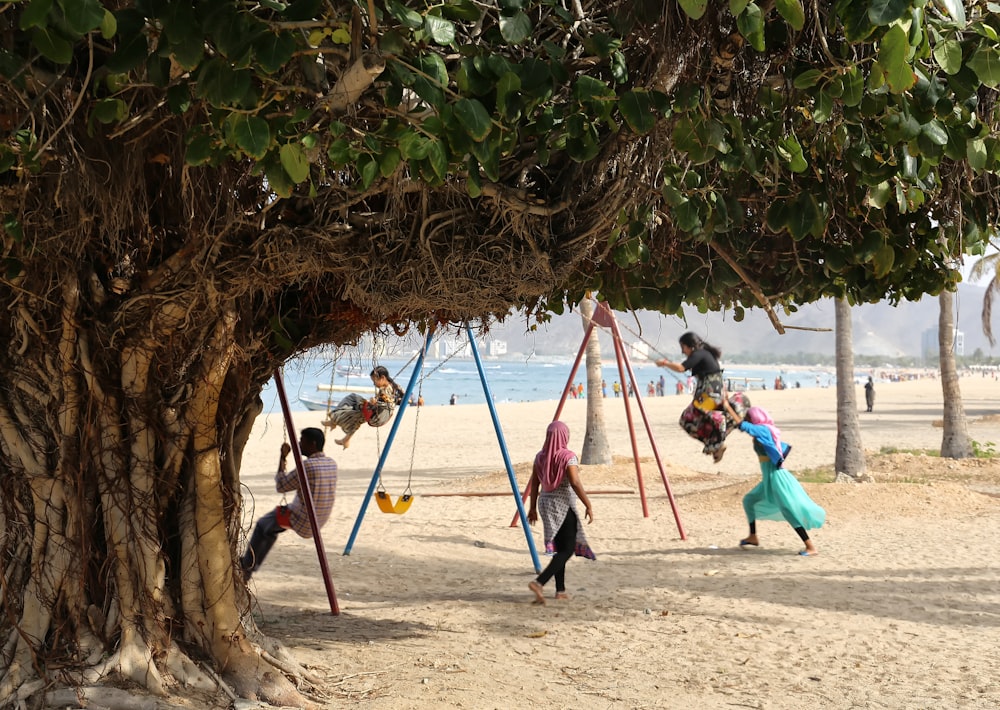 people playing on swing chair