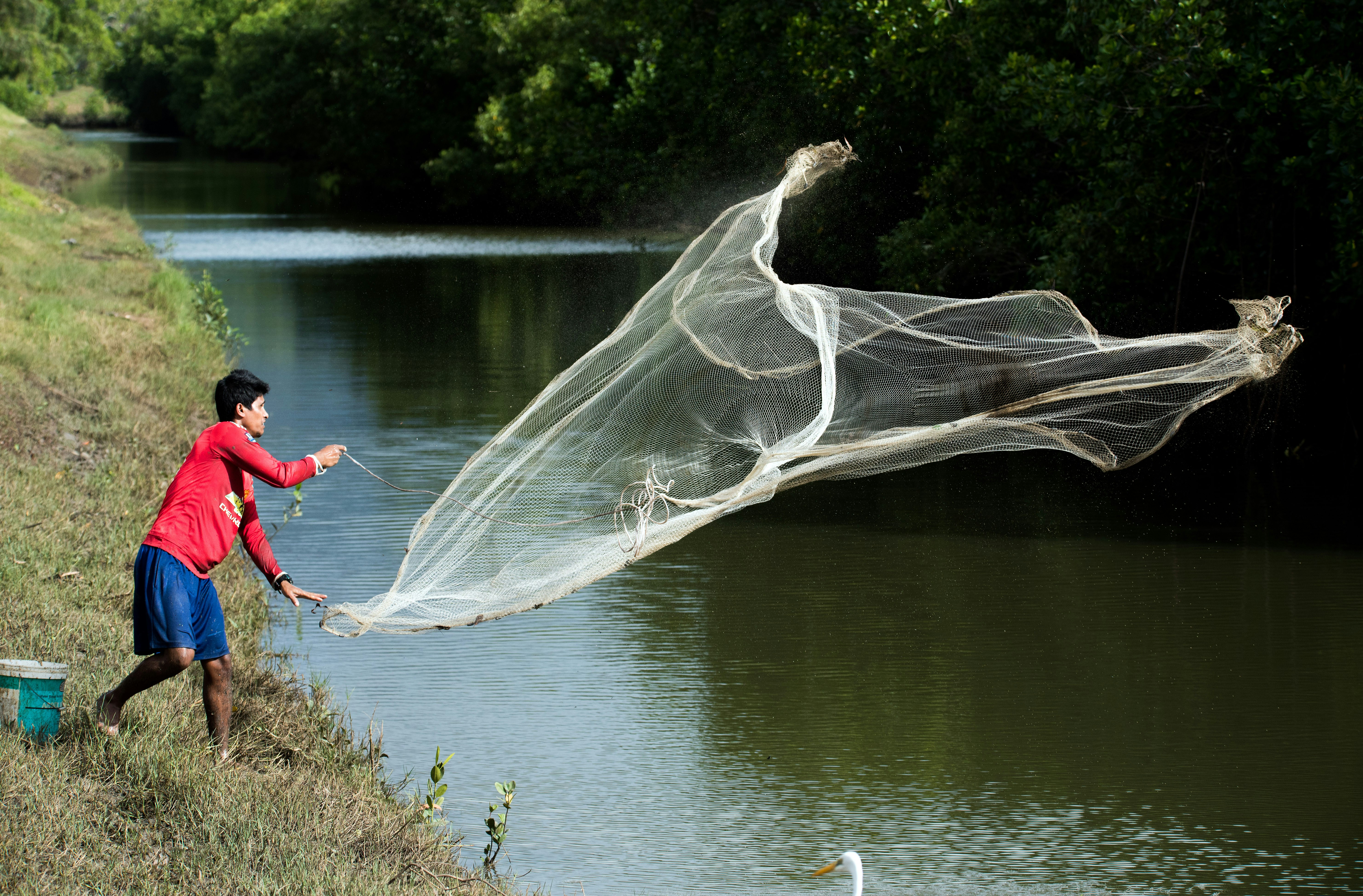 man throwing white fish net