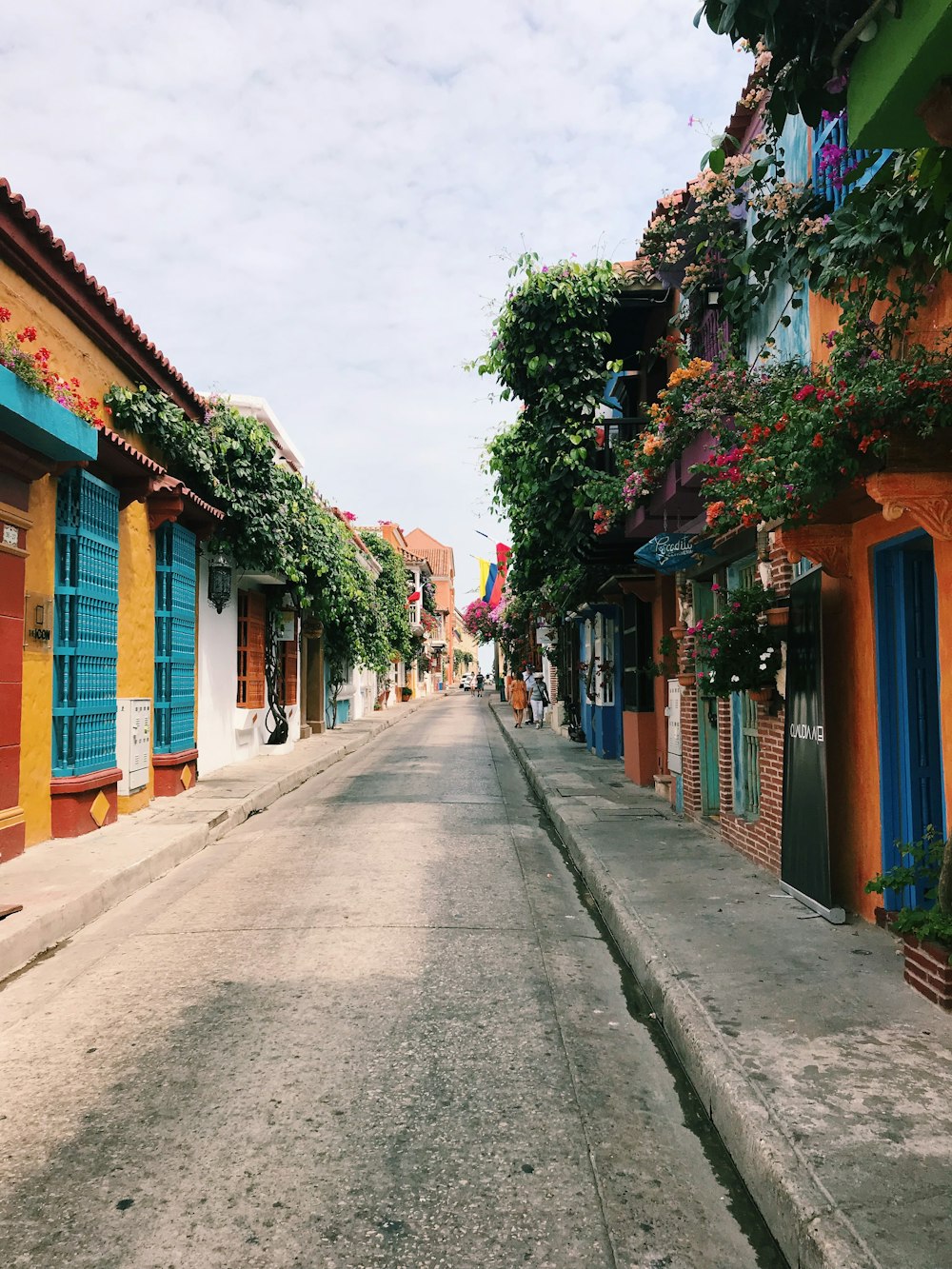 Fotografía de callejones de la carretera durante el día