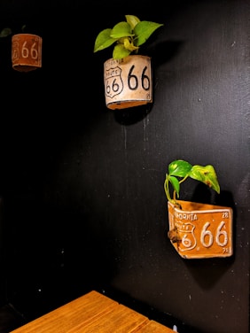 Two wall-mounted planters resembling vintage California Route 66 signs are displayed against a black wall. Each planter contains a healthy green plant with vibrant leaves. A small section of wooden furniture is visible in the lower part of the image.