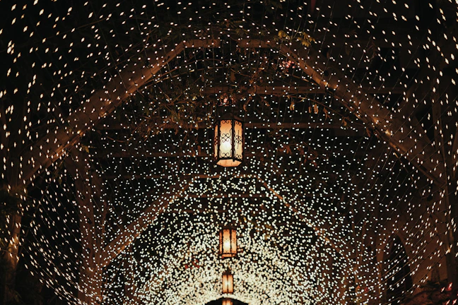 A dreamy passage decorated with hanging petals and soft fairy lights creating a magical walk-through.