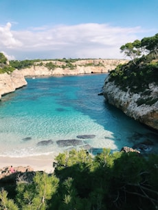 body of water near trees in Calo del Moro Mallorca