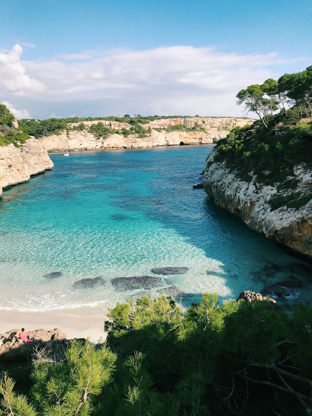 specchio d'acqua vicino agli alberi