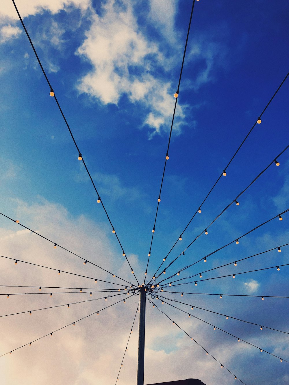 black and white string lights