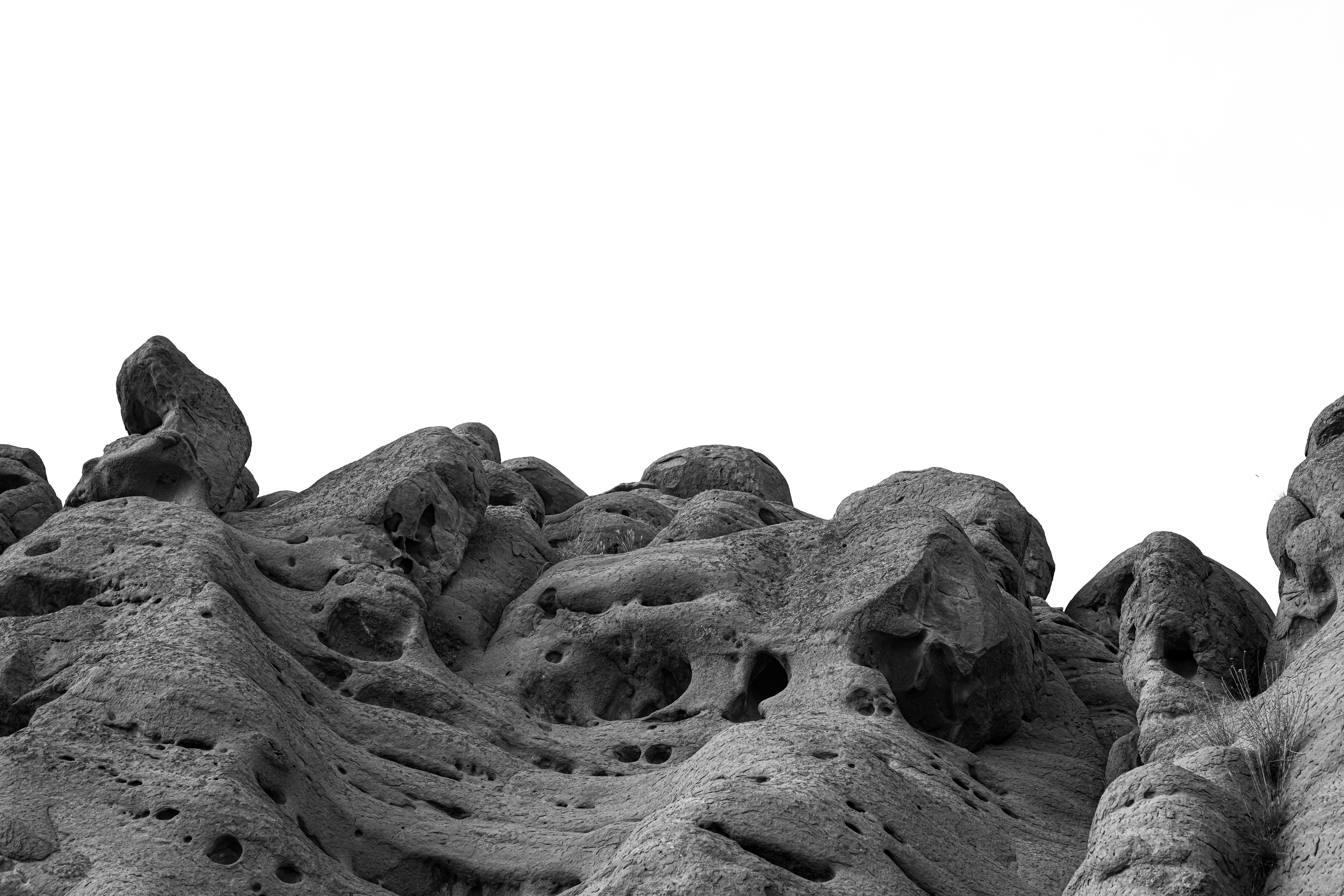 Photo by amirtasaddi