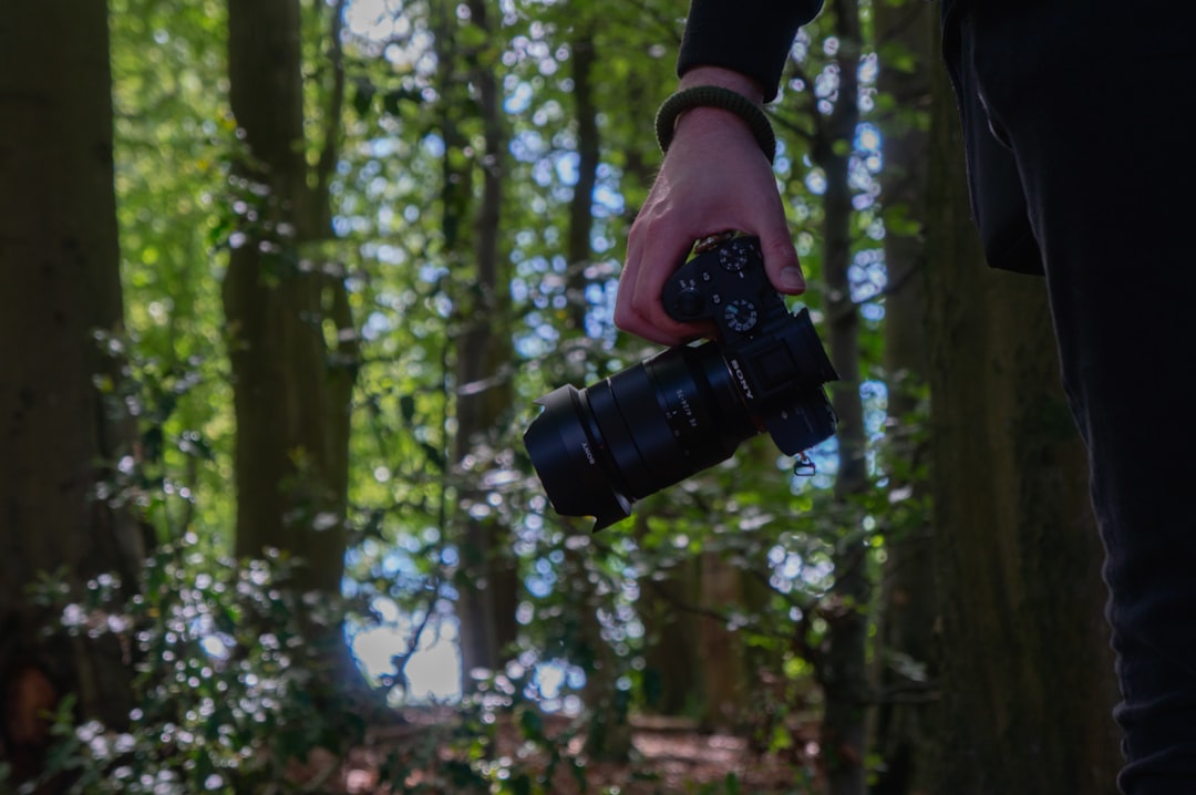 person with black DSLR camera in hand standing in woods