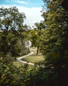Peaceful trail leading through the natural surroundings near the home stay.