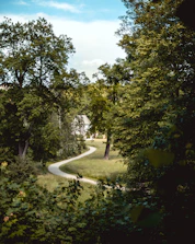 Winding nature trails surrounded by lush greenery near the homestay.