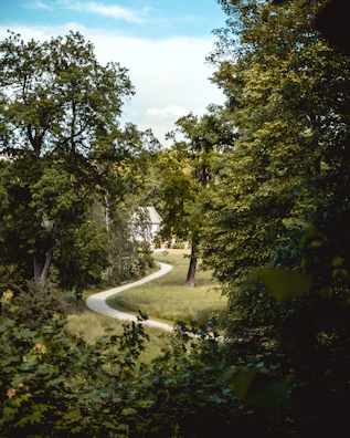 Peaceful trail leading through the natural surroundings near the home stay.