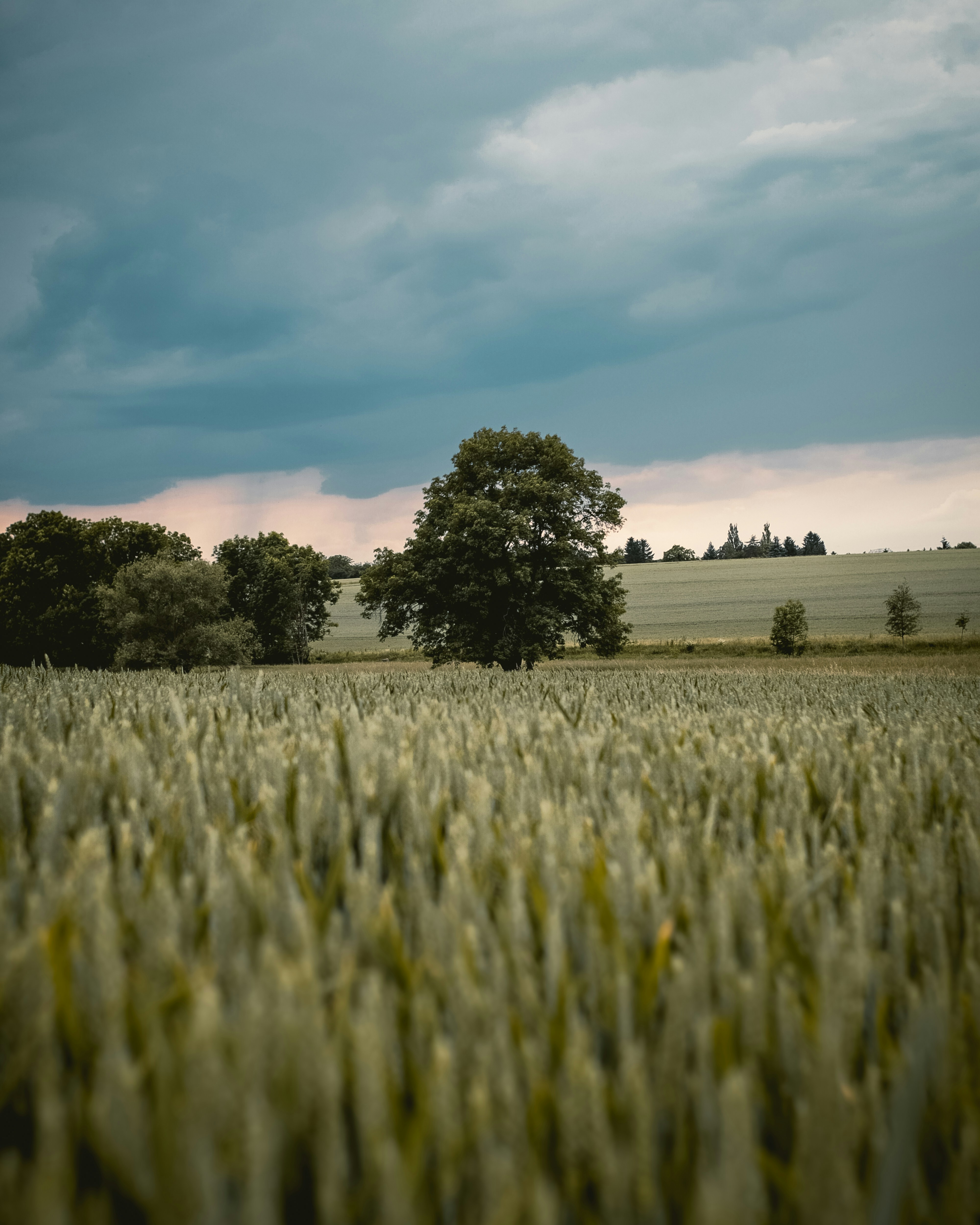 Photo by niklas_hamann